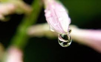 8 câu nói dối mẹ thường nói